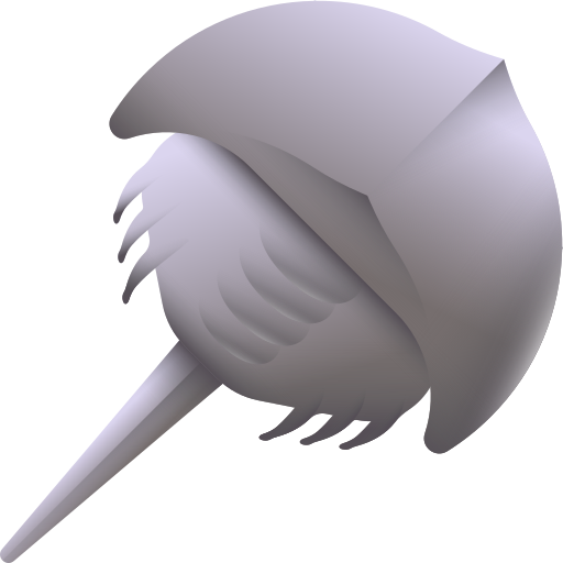 Horseshoe crab 3D Color icon