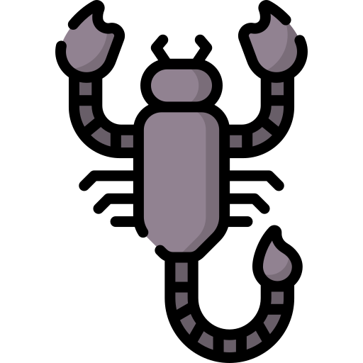 skorpion Special Lineal color icon