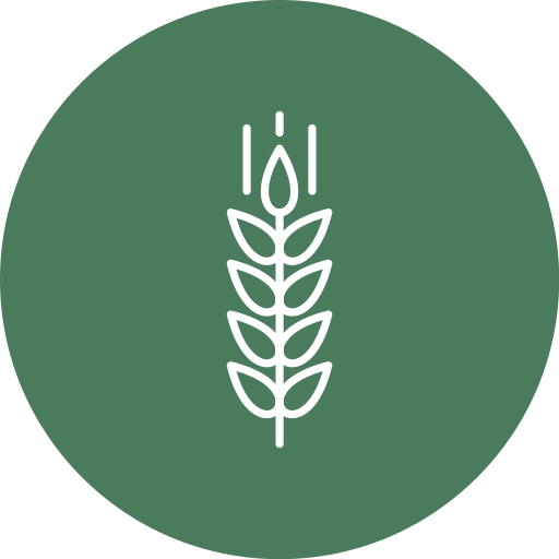 Пшеница Generic color fill иконка