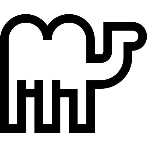 낙타 Basic Straight Lineal icon