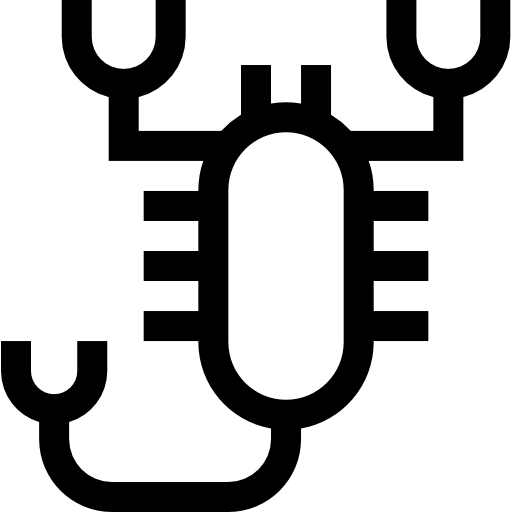 scorpione Basic Straight Lineal icona