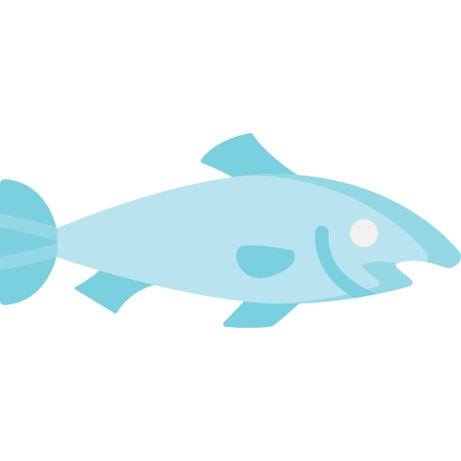 Salmon Special Flat icon