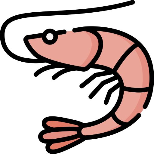 Shrimp Special Lineal color icon