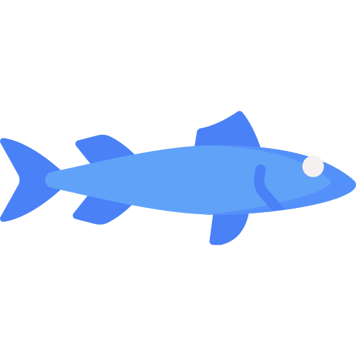 barracuda Special Flat icono