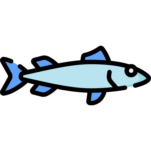 barracuda Special Lineal color Ícone