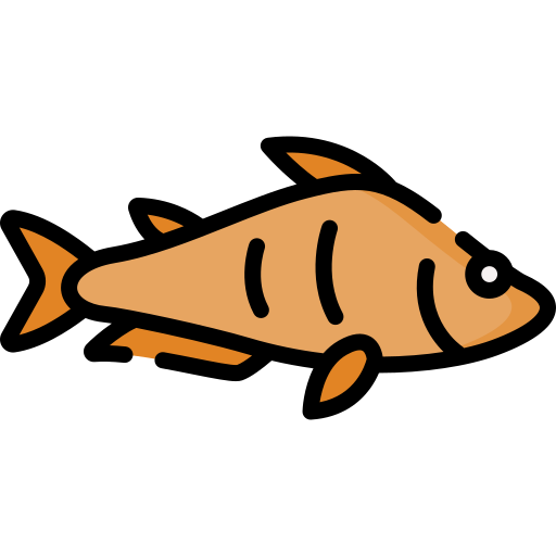 Pangasius Special Lineal color icon