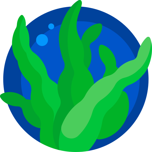 alga marina Detailed Flat Circular Flat icona
