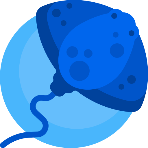 쥐 Detailed Flat Circular Flat icon