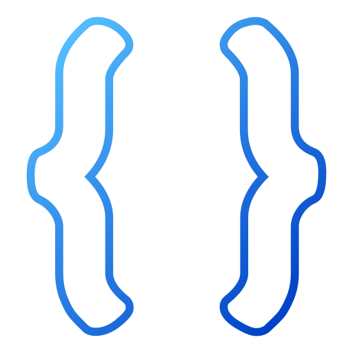 klammer geschweift Generic gradient outline icon