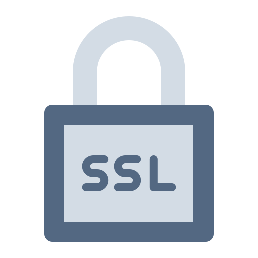 ssl Generic color fill icon