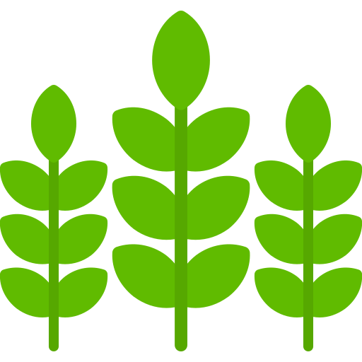 liść rośliny Generic color fill ikona