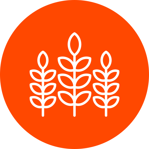 식물 잎 Generic color fill icon