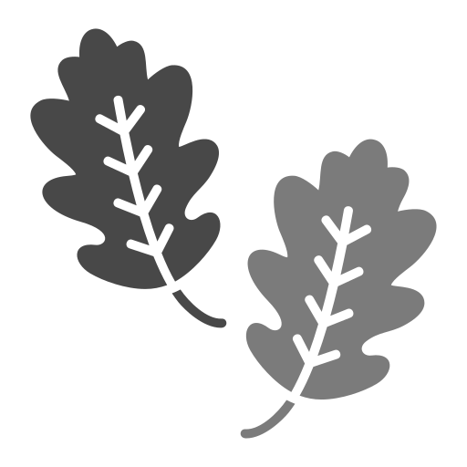 참나무 잎 Generic color fill icon
