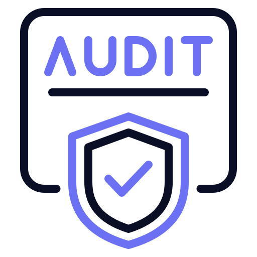 audit Generic color outline icoon