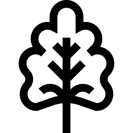 참나무 잎 Basic Straight Lineal icon