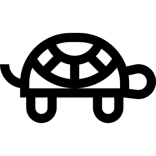 schildkröte Basic Straight Lineal icon