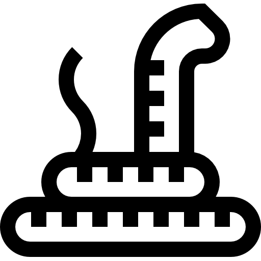 schlange Basic Straight Lineal icon