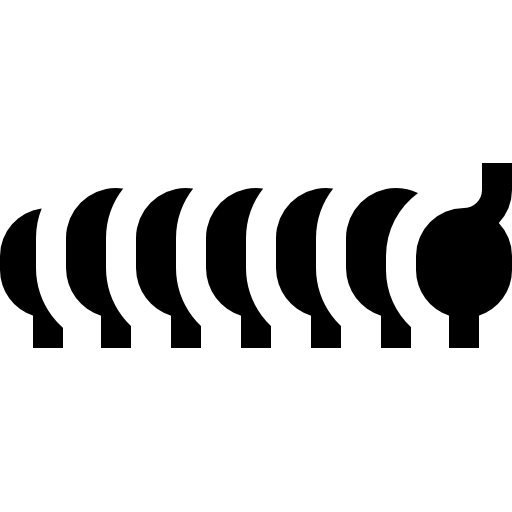 oruga Basic Straight Filled icono