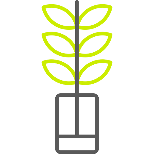 植物 Generic color outline icon