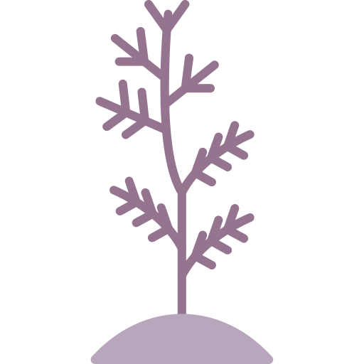 植物の木 Generic color lineal-color icon