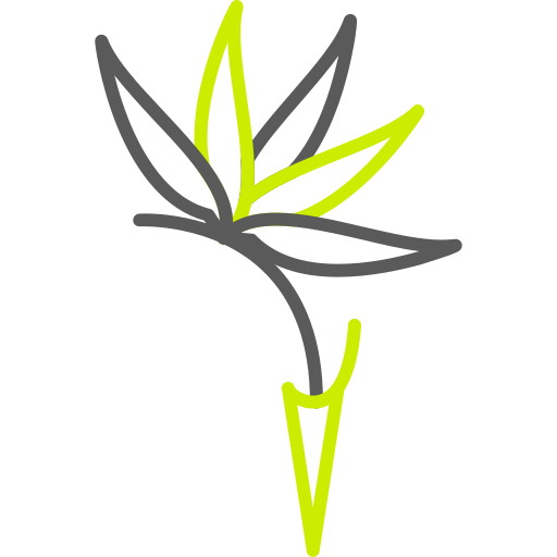 strelitzia Generic color outline icona
