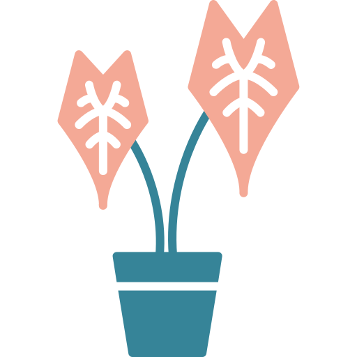 alocasia Generic color fill icon