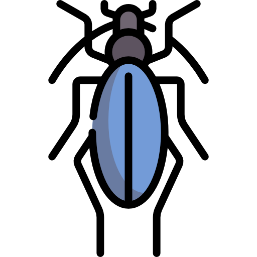 chrząszcz Special Lineal color ikona