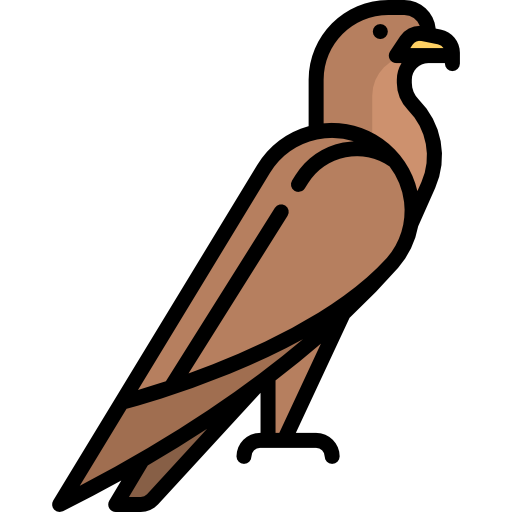 독수리 Special Lineal color icon