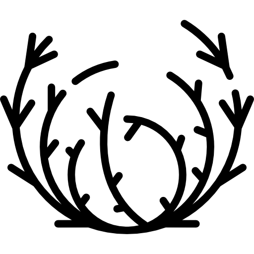 zielenica Special Lineal ikona