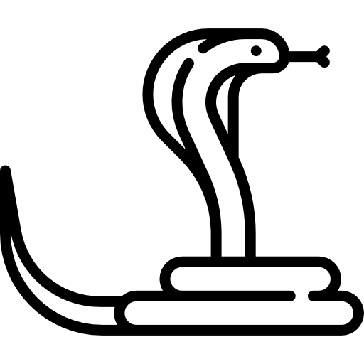 코브라 Special Lineal icon