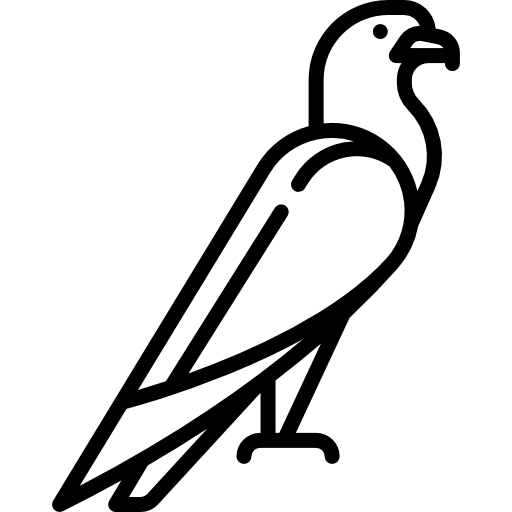 독수리 Special Lineal icon