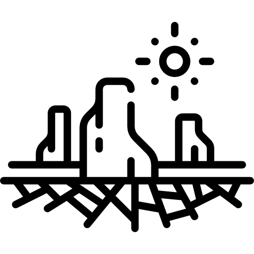 Каньон Special Lineal иконка