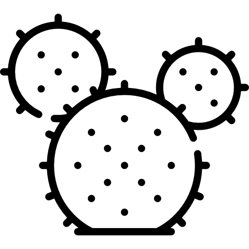 カクタス Special Lineal icon