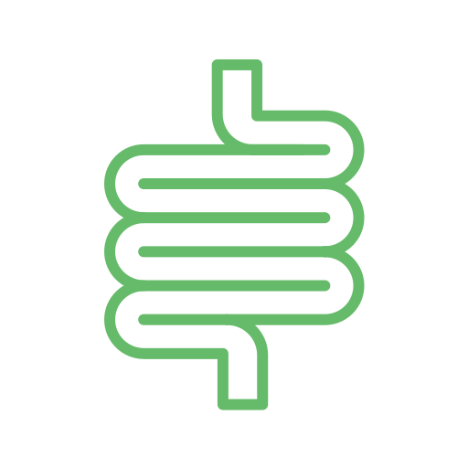 Intestines Generic color outline icon