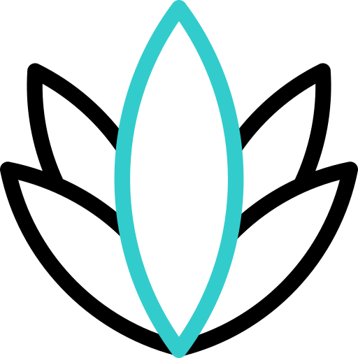 アガベ Basic Accent Outline icon