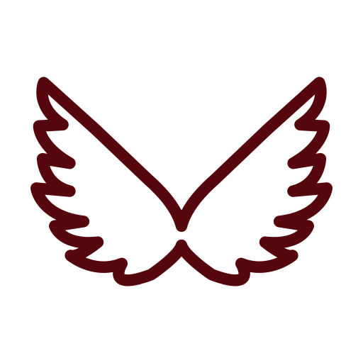 Крылья Generic color outline иконка