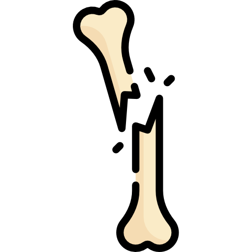 Broken bone Special Lineal color icon
