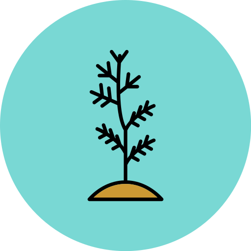 Plant tree Generic color lineal-color icon