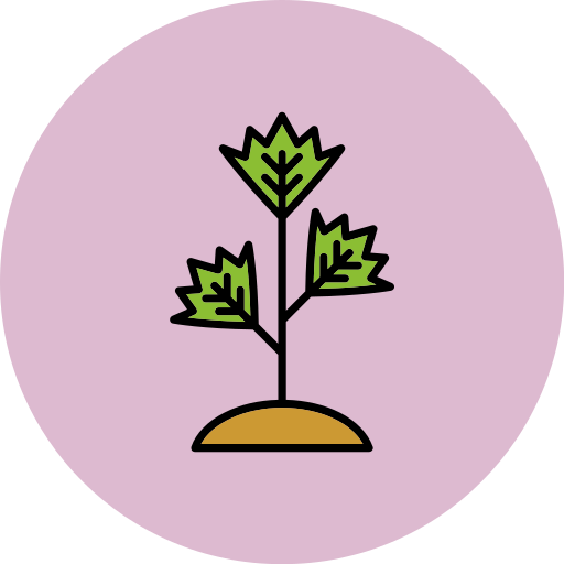 Parsley Generic color lineal-color icon