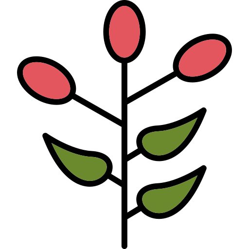 Barberry Generic color lineal-color icon