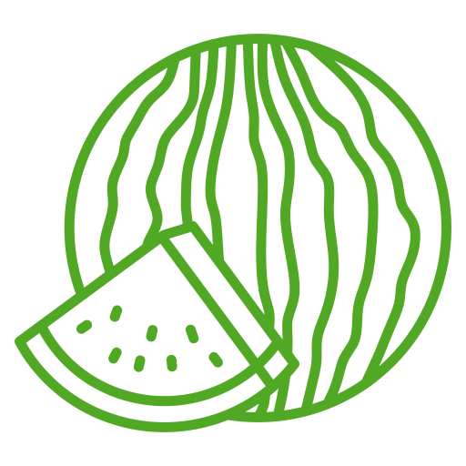 Watermelon Generic color outline icon
