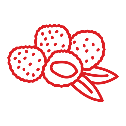 Lychee Generic color outline icon