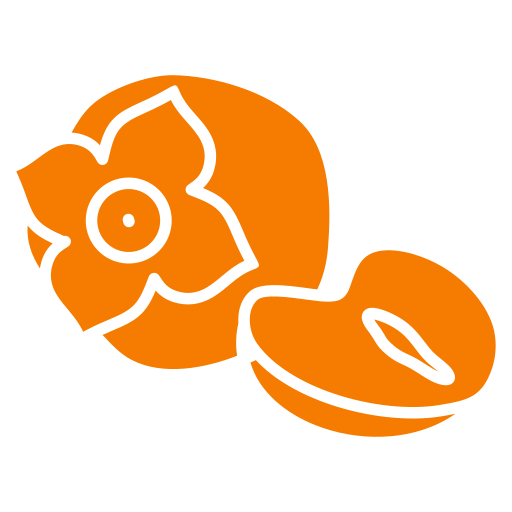 persimmon Generic color fill icon