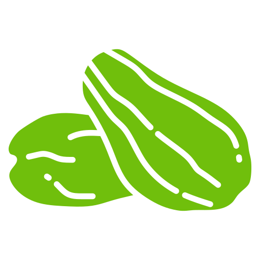chayote Generic color fill icona