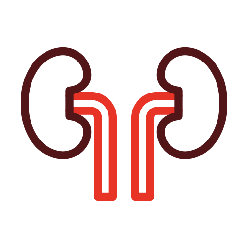 Kidney Generic color outline icon