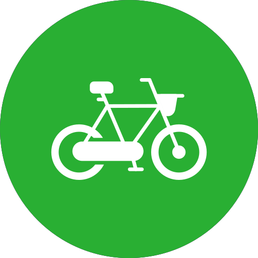 Bike Generic color fill icon