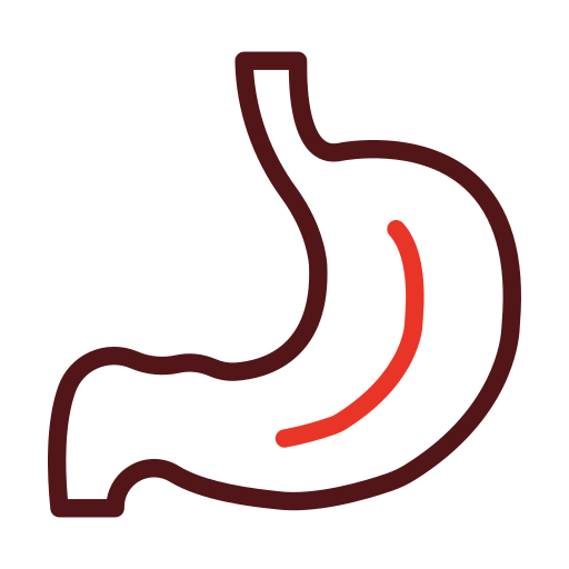 gastroenterologia Generic color outline Ícone