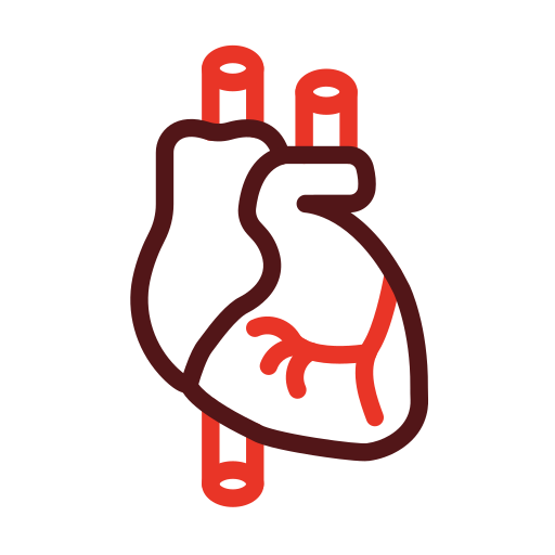 Cardiology Generic color outline icon