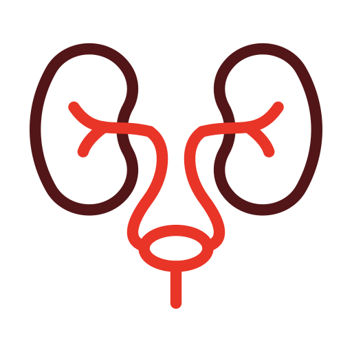 urologia Generic color outline ikona