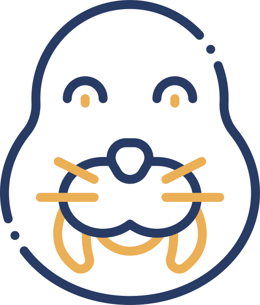 Walrus Generic color outline icon